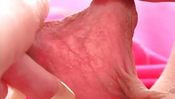 دش ساخن مفلس جبهة مورو الإسلامية مترجم احترافي سكس للتحرير