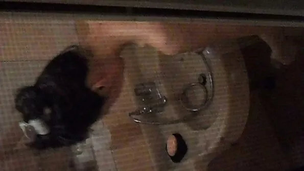 Geiler Gurkenfick سكس احترافي مترجم