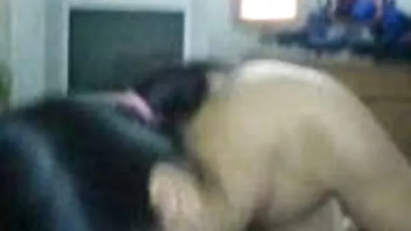 Faes قاسية بعقب الخدين xxx العبودية الجنسية لا بد موقع احترافى سكس