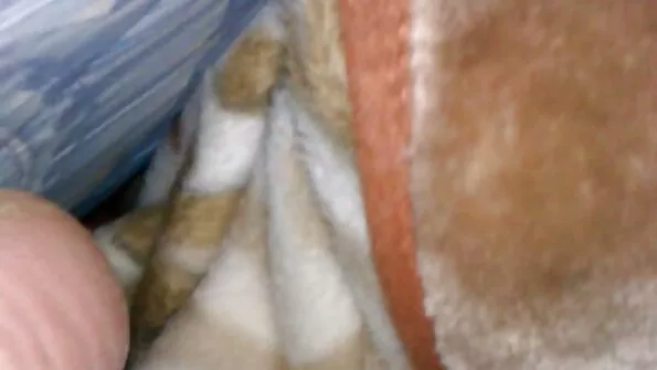الفرنسية ممرضة مع الحلق العميق جده يحب افلام سكس احترافي مترجم عمله