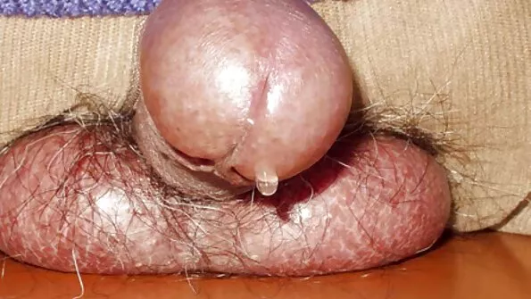 هالوين x سكس احترافي مترجم جديد la nuit de la fesse