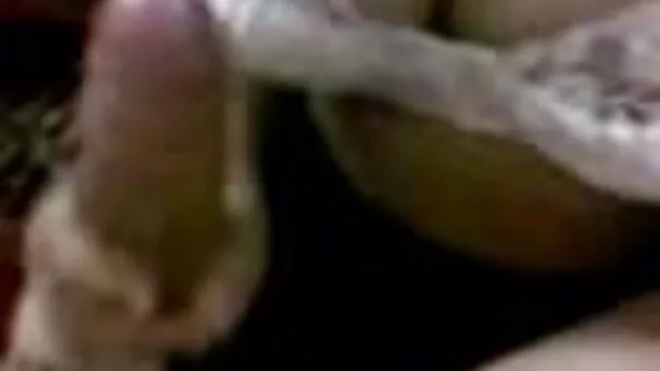 كاميرون كندا من هو سكس مترجم باحترافية والدك