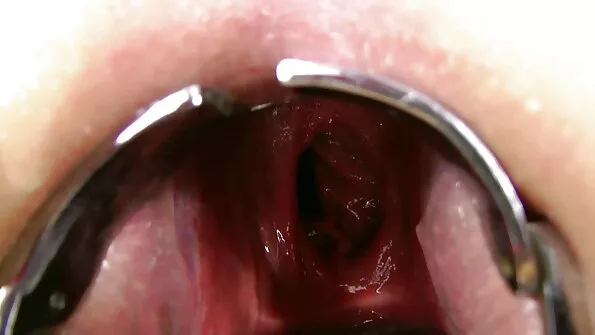 الرجعية الجوارب قمم سكس احترافي مترجم المجلد